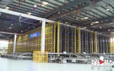 進(jìn)出口貨量穩(wěn)步回暖   重慶衛(wèi)視探溫飛力達(dá)